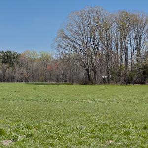 Photo #26 of SOLD property in Off Antioch Church Road, Timberlake, NC 86.2 acres