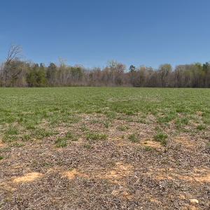 Photo #30 of SOLD property in Off Antioch Church Road, Timberlake, NC 86.2 acres