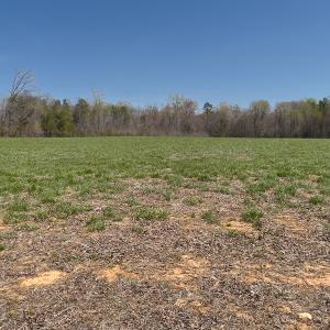 Photo #30 of Off Antioch Church Road, Timberlake, NC 86.2 acres