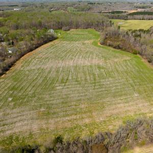 Photo #36 of SOLD property in Off Antioch Church Road, Timberlake, NC 86.2 acres