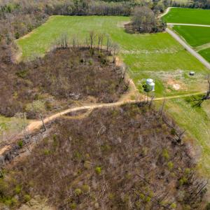 Photo #40 of SOLD property in Off Antioch Church Road, Timberlake, NC 86.2 acres