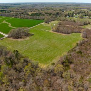 Photo #6 of SOLD property in Off Antioch Church Road, Timberlake, NC 86.2 acres