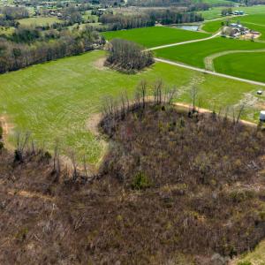 Photo #8 of SOLD property in Off Antioch Church Road, Timberlake, NC 86.2 acres