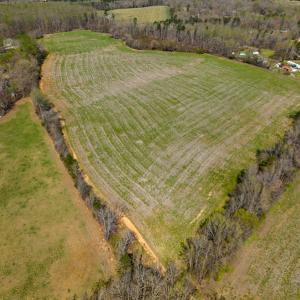 Photo #43 of SOLD property in Off Antioch Church Road, Timberlake, NC 86.2 acres
