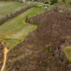 Photo #12 of SOLD property in Off Antioch Church Road, Timberlake, NC 86.2 acres