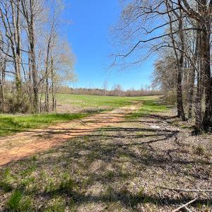 Photo #13 of SOLD property in Off Antioch Church Road, Timberlake, NC 86.2 acres
