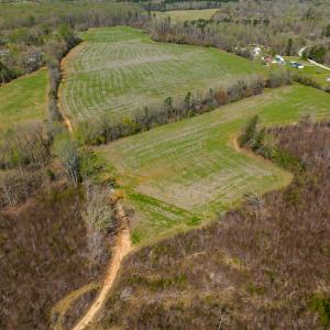 Photo #14 of Off Antioch Church Road, Timberlake, NC 86.2 acres