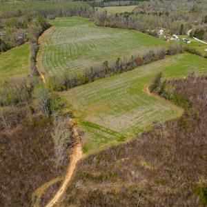 Photo #14 of SOLD property in Off Antioch Church Road, Timberlake, NC 86.2 acres