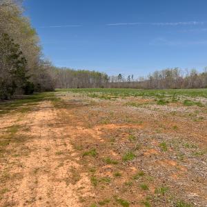 Photo #15 of SOLD property in Off Antioch Church Road, Timberlake, NC 86.2 acres