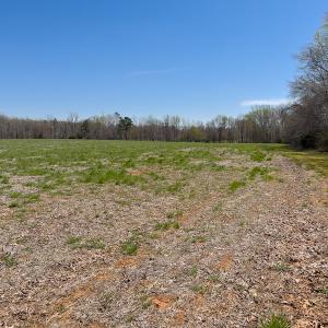 Photo #17 of SOLD property in Off Antioch Church Road, Timberlake, NC 86.2 acres