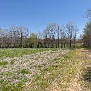 Photo #19 of SOLD property in Off Antioch Church Road, Timberlake, NC 86.2 acres