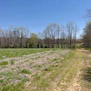 Photo #19 of Off Antioch Church Road, Timberlake, NC 86.2 acres