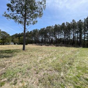 Photo #10 of SOLD property in Off Occohannock Neck Road, Exmore, VA 1.4 acres