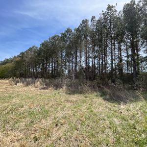 Photo #12 of SOLD property in Off Occohannock Neck Road, Exmore, VA 1.4 acres