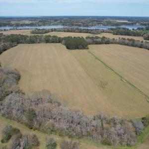 Photo #6 of SOLD property in Off Occohannock Neck Road, Exmore, VA 1.4 acres