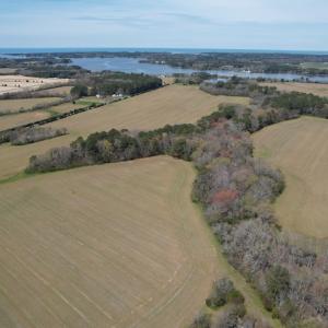 Photo #7 of SOLD property in Off Occohannock Neck Road, Exmore, VA 1.4 acres