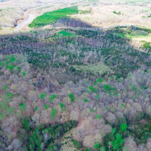 Photo #17 of Off Court Road, Pittsville, VA 286.0 acres