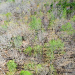 Photo #22 of Off Court Road, Pittsville, VA 286.0 acres