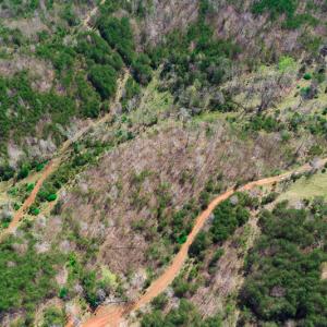 Photo #33 of Off Court Road, Pittsville, VA 286.0 acres