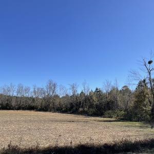 Photo #3 of Off Fair Bluff Highway, Green Sea, SC 5.0 acres