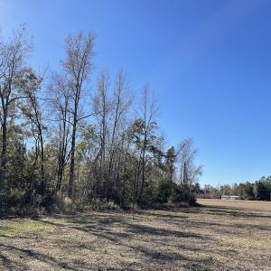 Photo #4 of Off Fair Bluff Highway, Green Sea, SC 5.0 acres