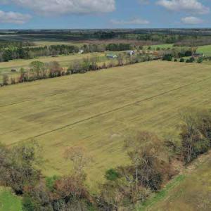 Photo #2 of SOLD property in Off West Road, Chesapeake, VA 29.1 acres