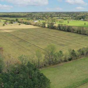 Photo #4 of SOLD property in Off West Road, Chesapeake, VA 29.1 acres