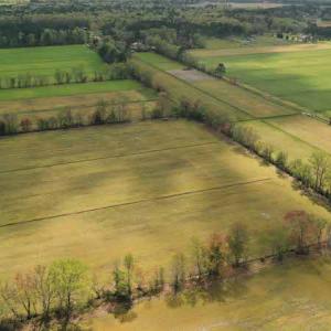 Photo #5 of SOLD property in Off West Road, Chesapeake, VA 29.1 acres
