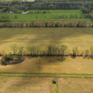 Photo #6 of SOLD property in Off West Road, Chesapeake, VA 29.1 acres