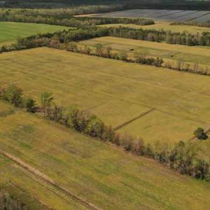 Photo #7 of SOLD property in Off West Road, Chesapeake, VA 29.1 acres