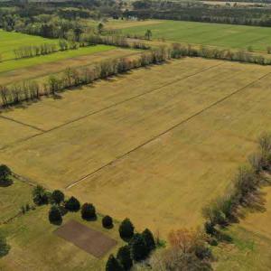 Photo #9 of SOLD property in Off West Road, Chesapeake, VA 29.1 acres