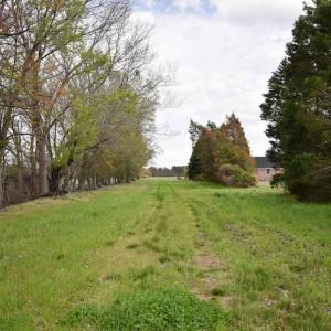 Photo #16 of SOLD property in Off West Road, Chesapeake, VA 29.1 acres