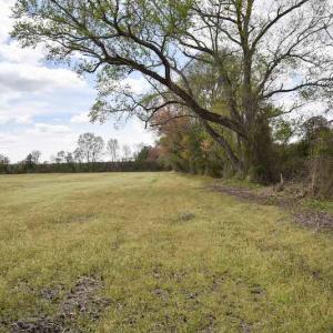 Photo #17 of SOLD property in Off West Road, Chesapeake, VA 29.1 acres