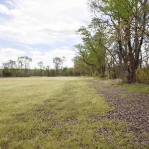 Photo #18 of SOLD property in Off West Road, Chesapeake, VA 29.1 acres