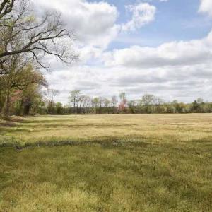Photo #19 of SOLD property in Off West Road, Chesapeake, VA 29.1 acres