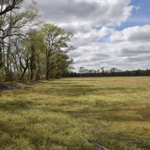 Photo #23 of SOLD property in Off West Road, Chesapeake, VA 29.1 acres