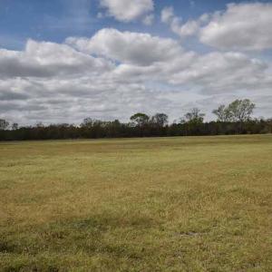 Photo #24 of SOLD property in Off West Road, Chesapeake, VA 29.1 acres