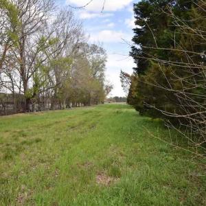 Photo #25 of SOLD property in Off West Road, Chesapeake, VA 29.1 acres