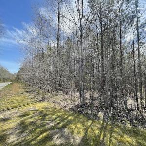 Photo #10 of SOLD property in Off Indian Neck Road, Newtown, VA 12.0 acres