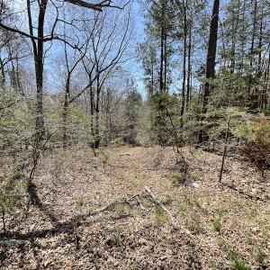 Photo #13 of SOLD property in Off Indian Neck Road, Newtown, VA 12.0 acres