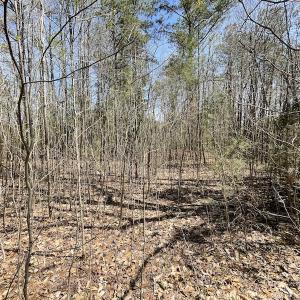Photo #14 of SOLD property in Off Indian Neck Road, Newtown, VA 12.0 acres