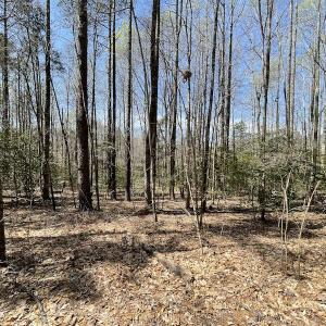 Photo #16 of SOLD property in Off Indian Neck Road, Newtown, VA 12.0 acres