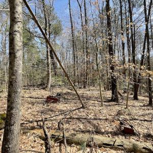 Photo #17 of SOLD property in Off Indian Neck Road, Newtown, VA 12.0 acres