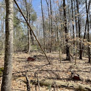 Photo #17 of SOLD property in Off Indian Neck Road, Newtown, VA 12.0 acres