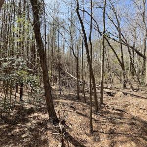 Photo #18 of SOLD property in Off Indian Neck Road, Newtown, VA 12.0 acres