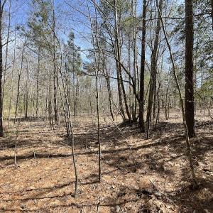 Photo #20 of SOLD property in Off Indian Neck Road, Newtown, VA 12.0 acres