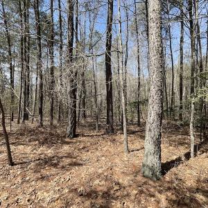 Photo #22 of SOLD property in Off Indian Neck Road, Newtown, VA 12.0 acres
