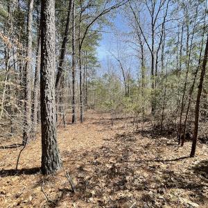 Photo #23 of SOLD property in Off Indian Neck Road, Newtown, VA 12.0 acres