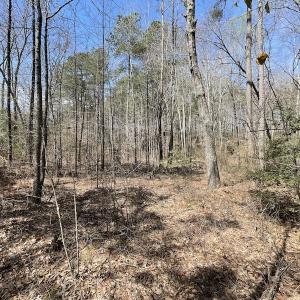 Photo #24 of SOLD property in Off Indian Neck Road, Newtown, VA 12.0 acres