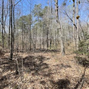 Photo #24 of SOLD property in Off Indian Neck Road, Newtown, VA 12.0 acres